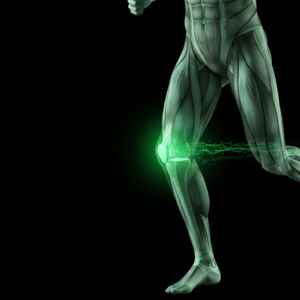 Dolor anterior de rodilla: el fortalecimiento de cadera marca la diferencia (meta-análisis 2025)